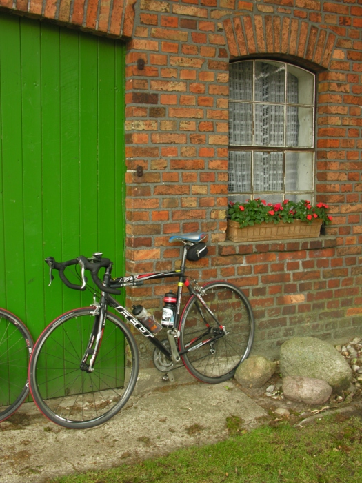 RTF Muenster MrColnago 23